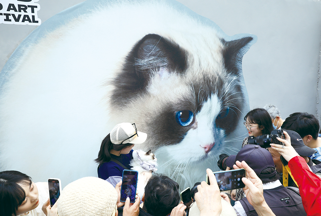 在上海市方浜中路的围墙上,巨幅猫咪形象墙绘吸引众多市民和游客前来