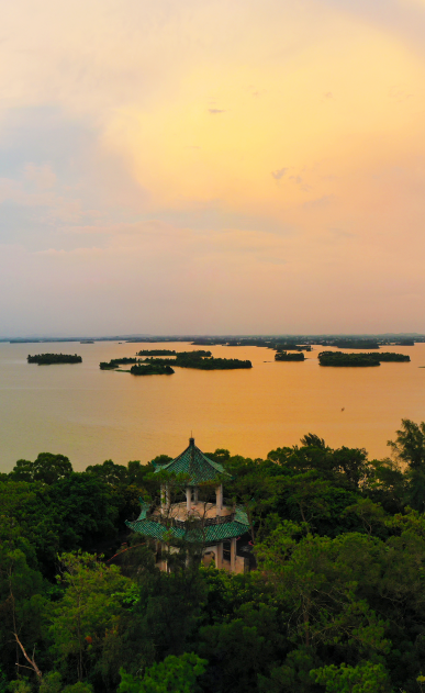 湛江市_新浪财经_新浪网