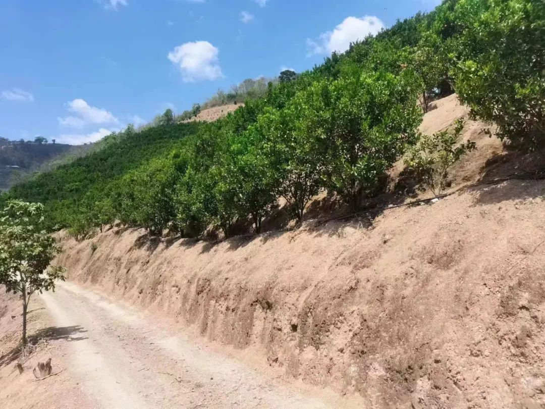 五一出行大军刷屏！错峰，电车，景区全是㇏反套路大坑