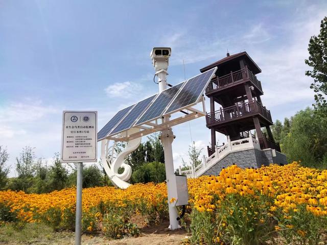 河湖鸟类ai智能识别自动监测站.北京市水务局供图