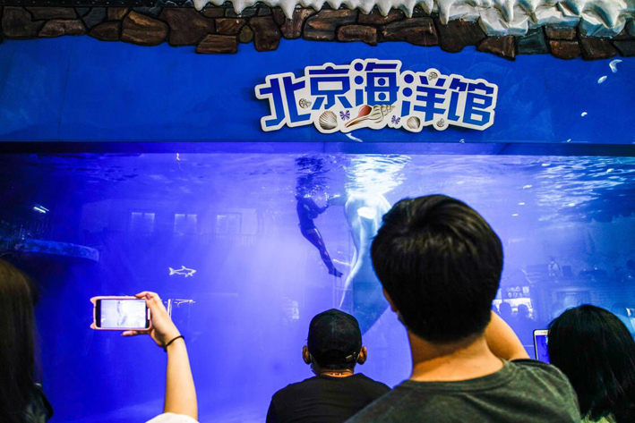 北京海洋馆内，游客在参观水下表演 视觉中国图