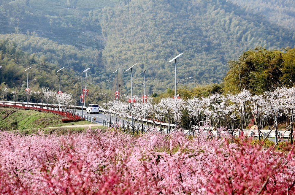妙西镇妙山村农家田园风光.项飞 摄