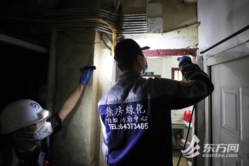 每年灭蚁量约为6000户据上海市物业中心副主任张炳军介绍,在市房屋