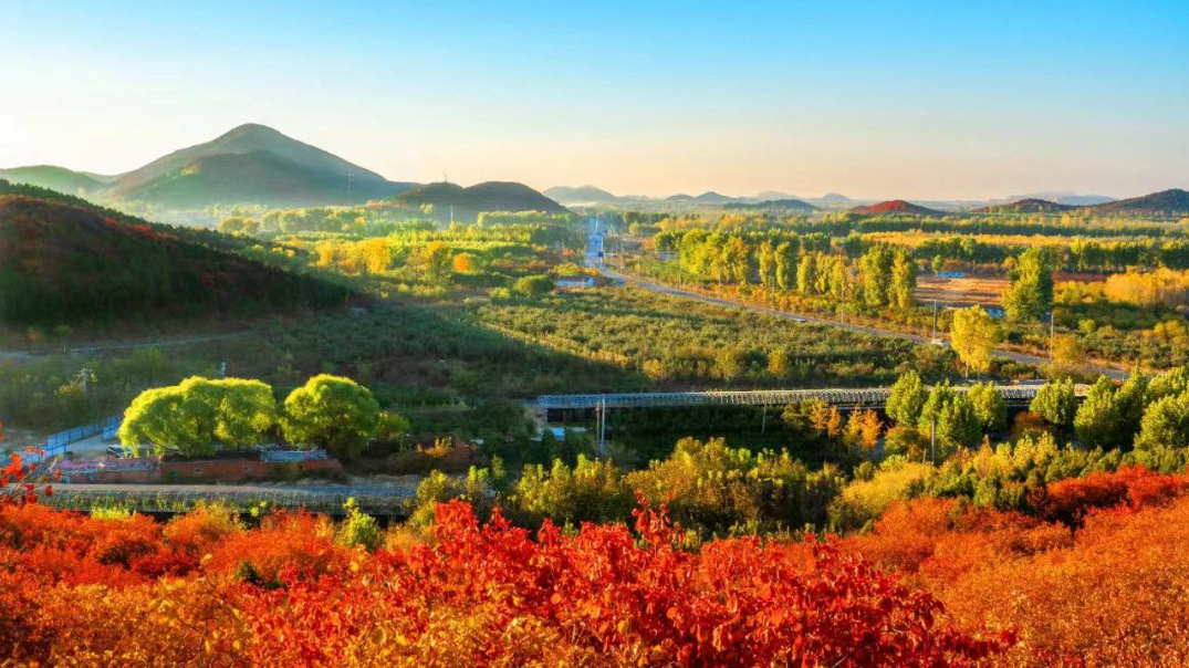 北京市顺义区扎实推行林长制,做好"三绿"文章!|顺义_新浪财经_新浪网