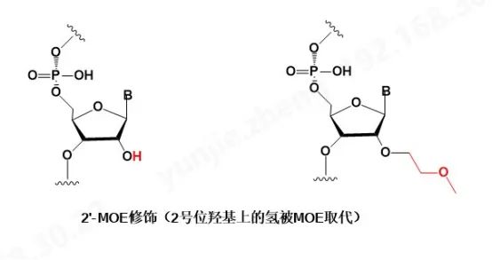 技术分享|浅谈寡核苷酸之单体|核苷酸_新浪财经_新浪网