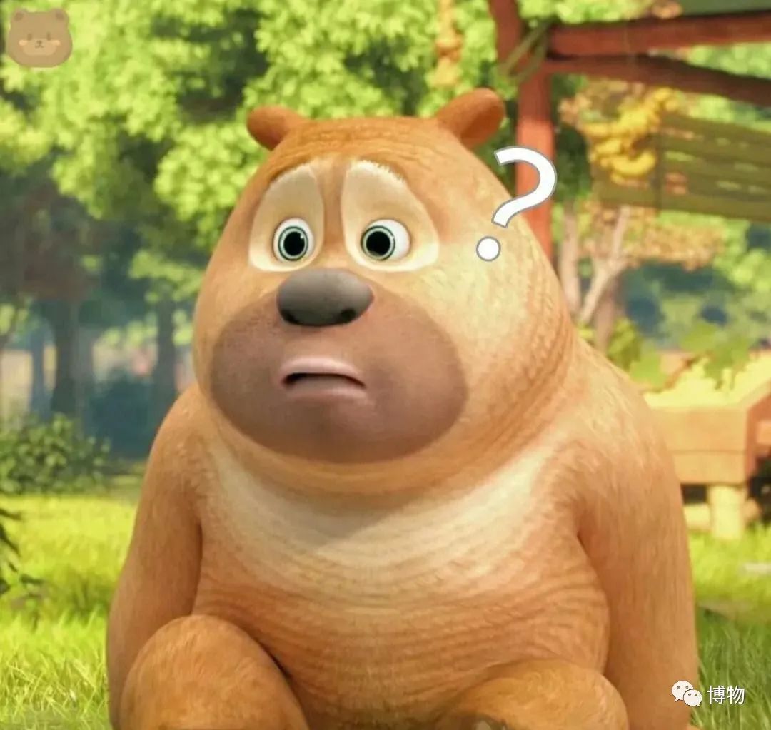 地里偷玉米夹在腋下,摘一个掉一个,俗称"狗熊掰棒子"……真要这么笨