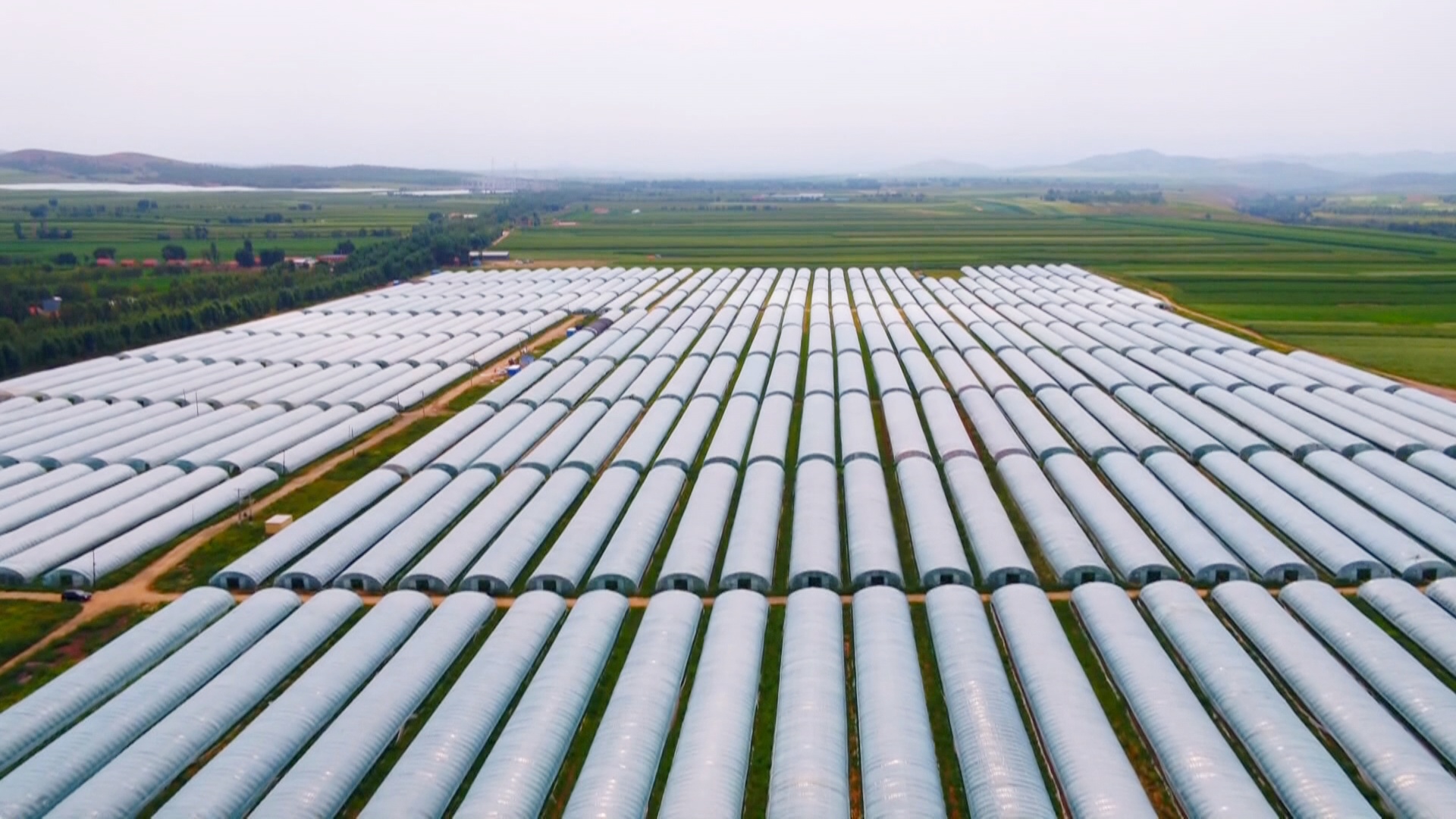 内蒙古赤峰市全力保障粤港澳大湾区"菜篮子"|赤峰市_新浪财经_新浪网