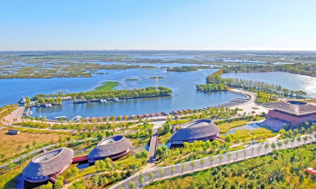 城淀相依,共生共融​|白洋淀_新浪财经_新浪网