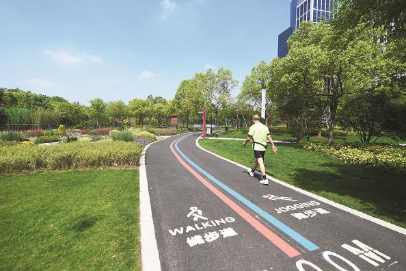 图为市民在竹园中心绿地的步道上健步走