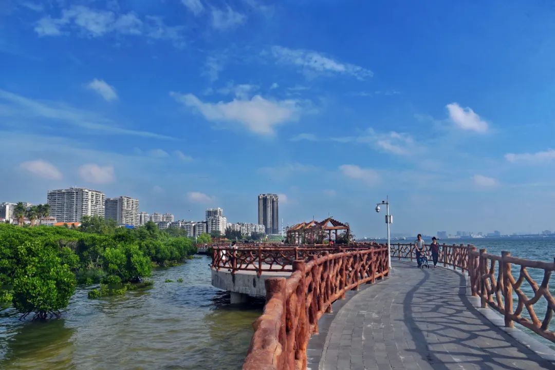 的椰树观海长廊的滨海美景沿途欣赏渔港公园从海滨公园出发下午三四