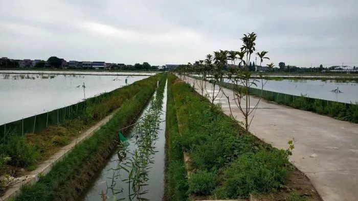 &nbsp;今年,湖州市计划新建生态拦截沟渠12条,总长1.