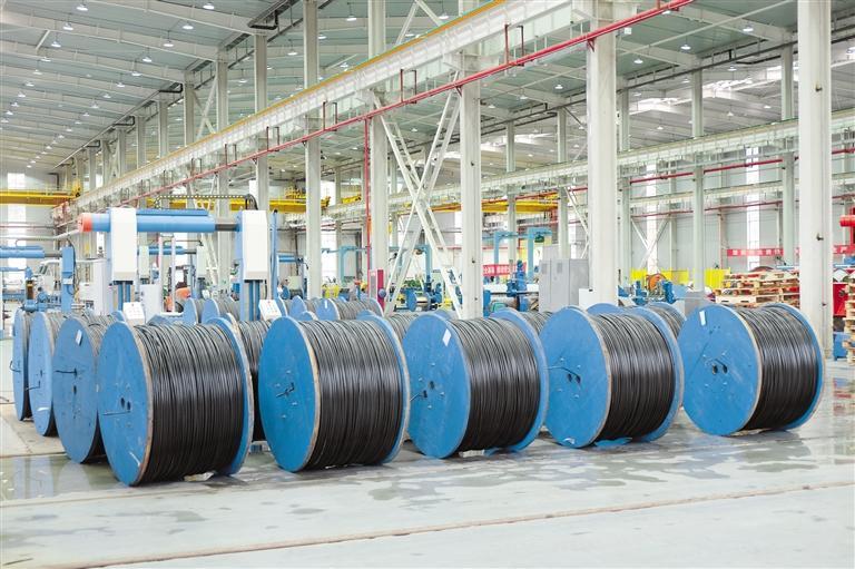 新曙光电缆生产车间. (受访企业供图)