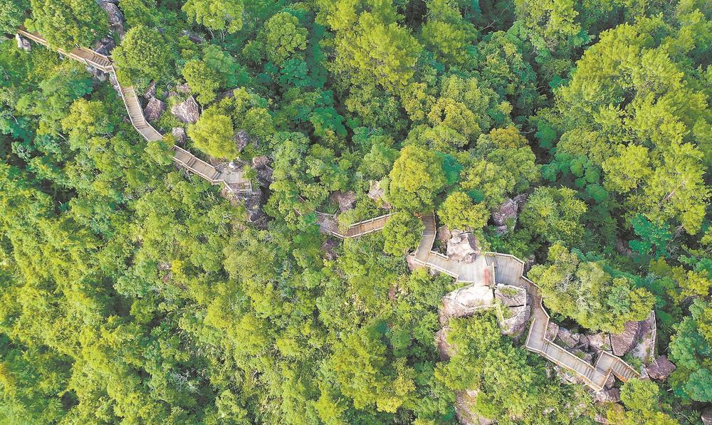 华安县森林总蓄积量843.0401万立方米,森林覆盖率65.