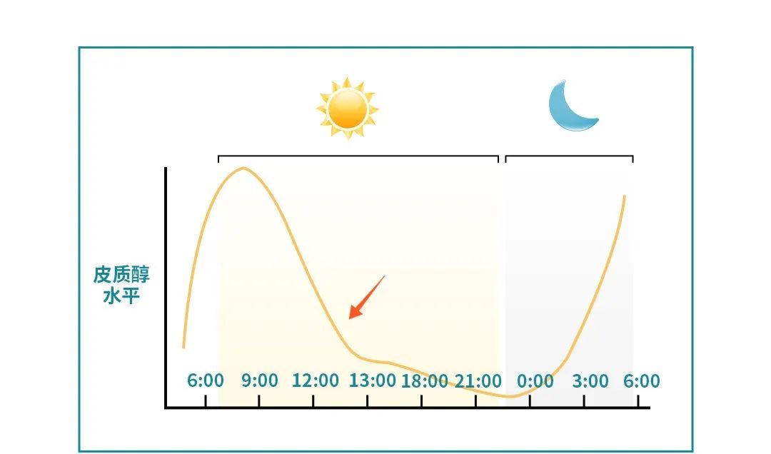 皮质醇压力会促使压力会促进肾上腺分泌很大原因是因为下午的工作压力