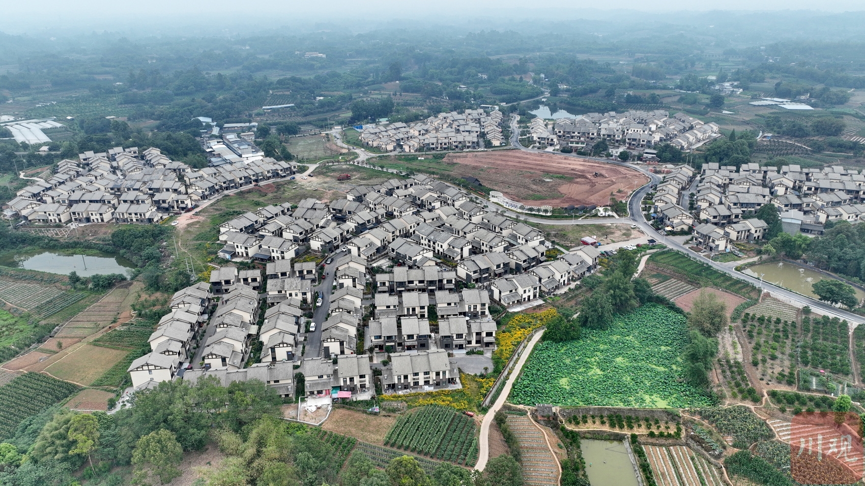 2023年5月26日,在成都市双流区永安镇梨园村,当地村民正在参加插秧