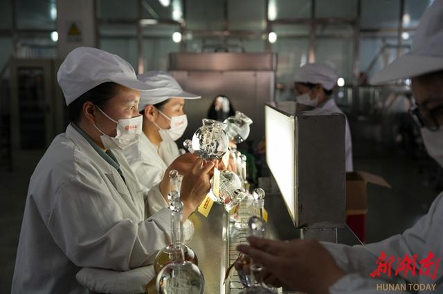 5月24日,山东省日照市莒县浮来春酒厂,工人对白酒进行出厂前检查.