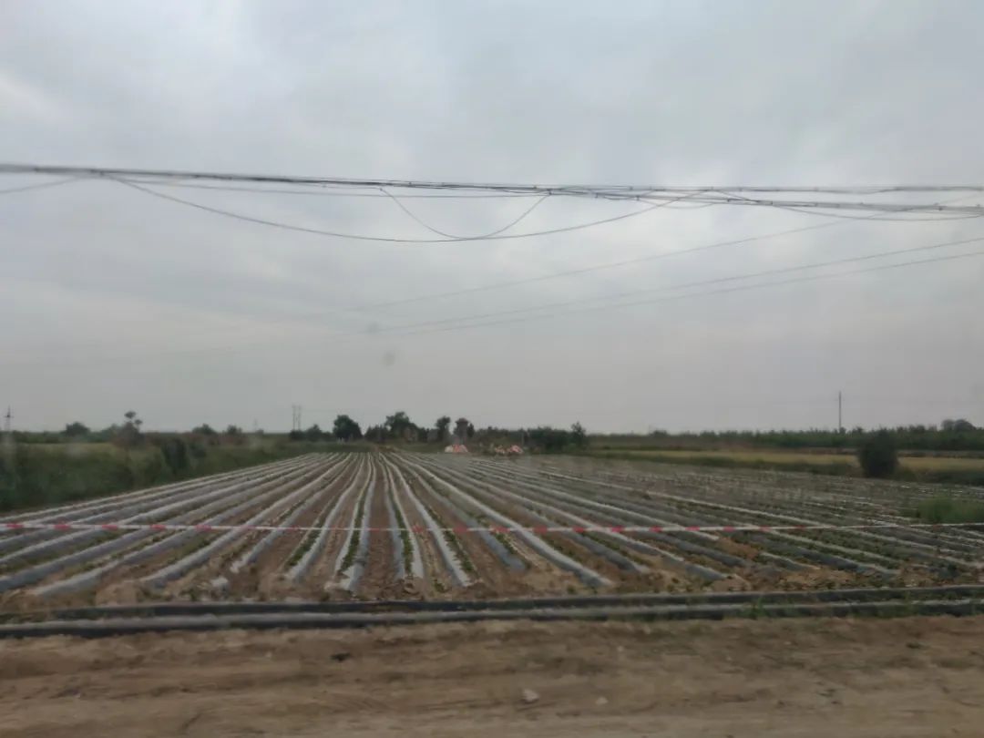 新华区代办公司注册需要什么资料