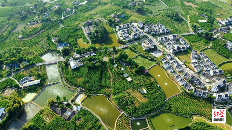 *今日铁牛村去年底,央视大型文旅节目《山水间的家》