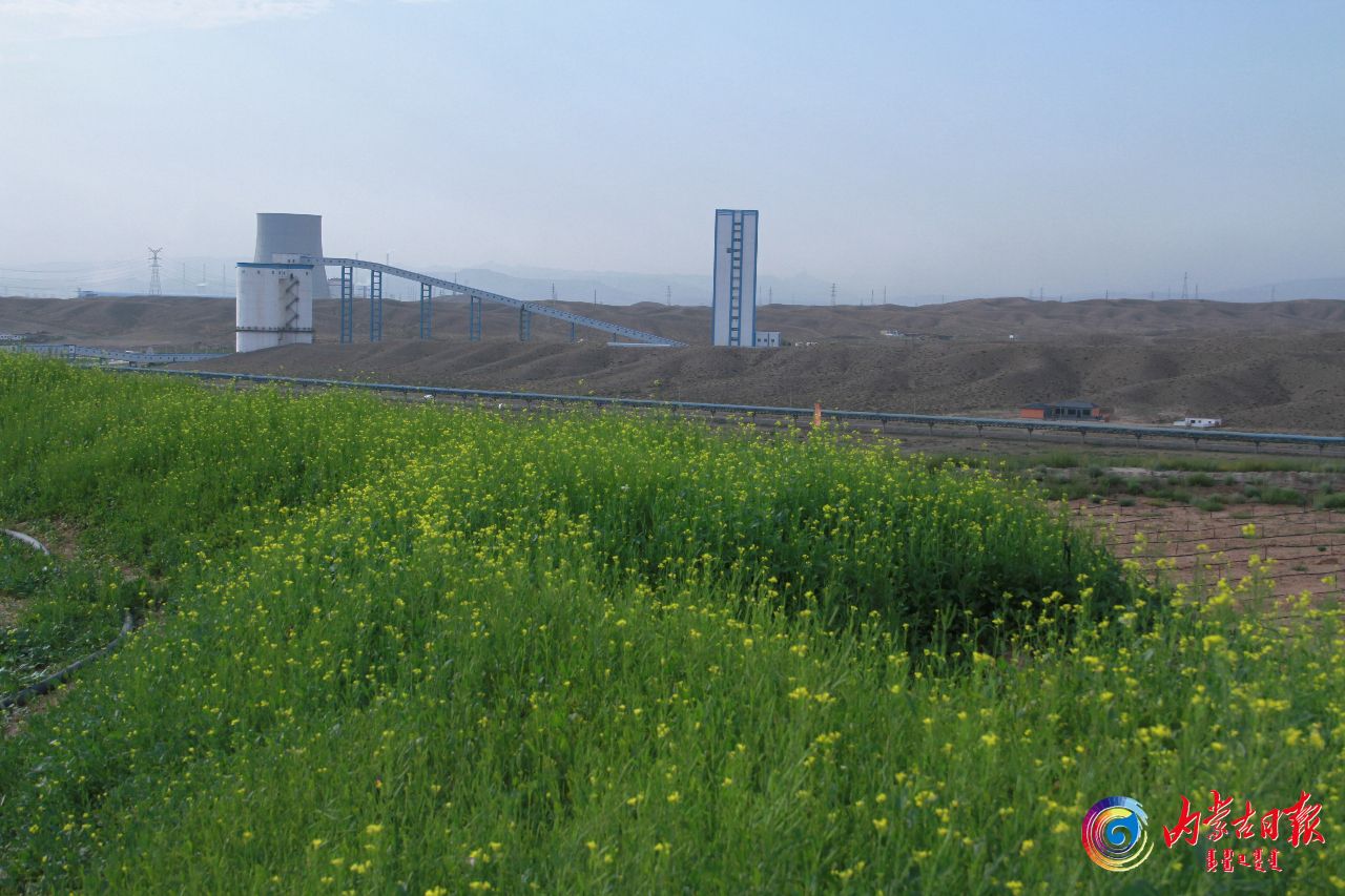 　　内蒙古蒙西煤炭有限责任公司绿色矿山属于国家级绿色矿山