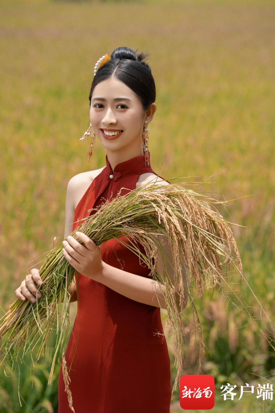 稻田里的婚纱照 见证海口琼山农民幸福生活