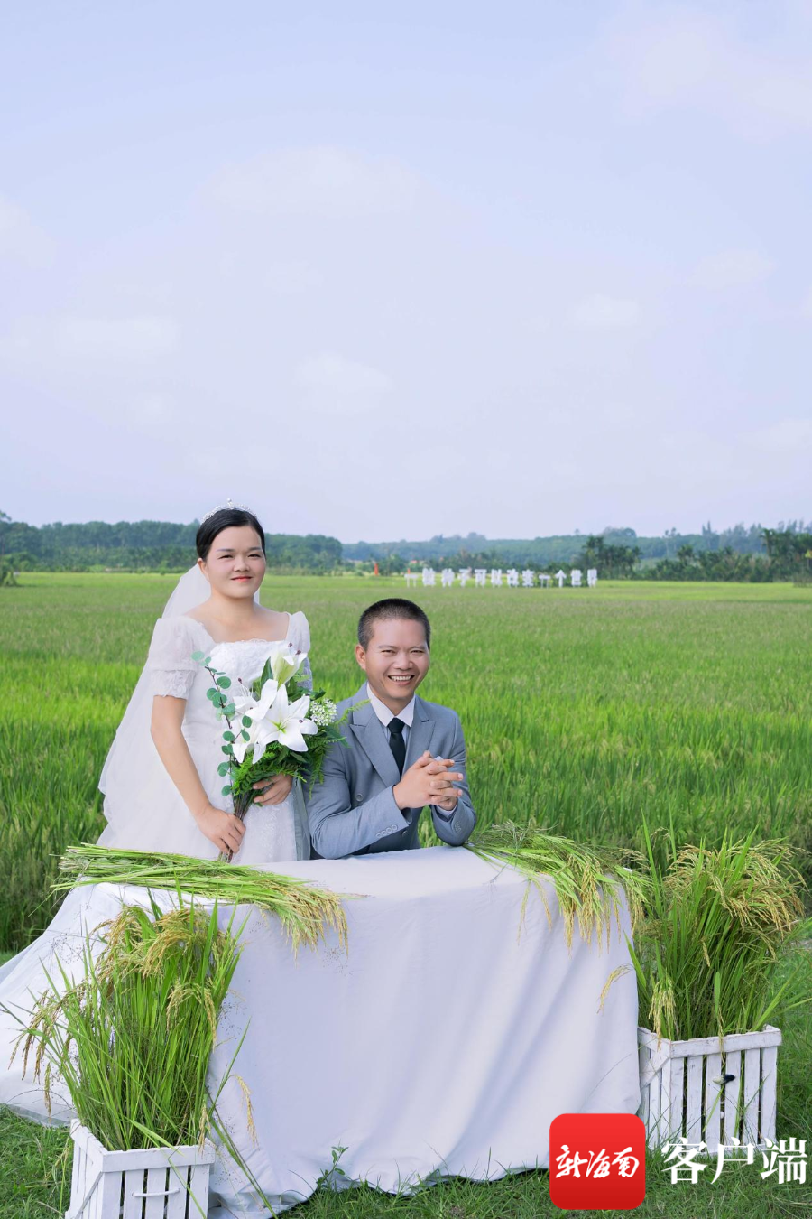 稻田里的婚纱照 见证海口琼山农民幸福生活
