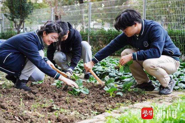 蘇州園區外國語學校_蘇州園區外國語學校學費多少錢_蘇州園區外國語學校怎樣