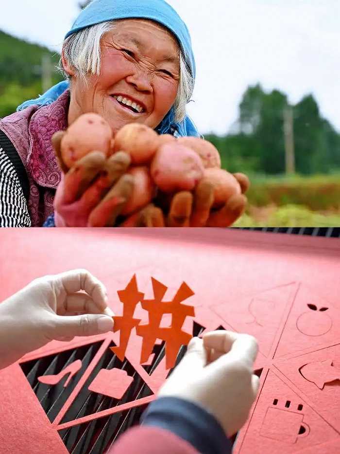 一季度，不管是云南寻甸的特色土豆，还是湖南永州的剪纸宫灯，拼多多持续助力各地优势产业加“数”发展。孟云归▕ 摄