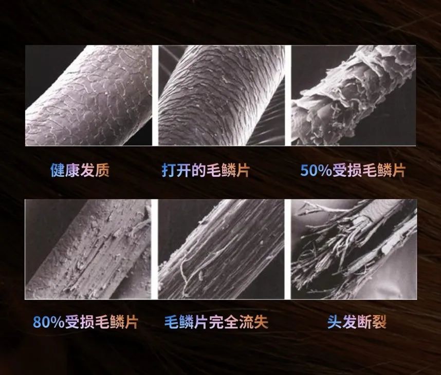 毛鳞片根本没有得到真正的修复!而飞舶顺发梳拥有一个其他梳子所没