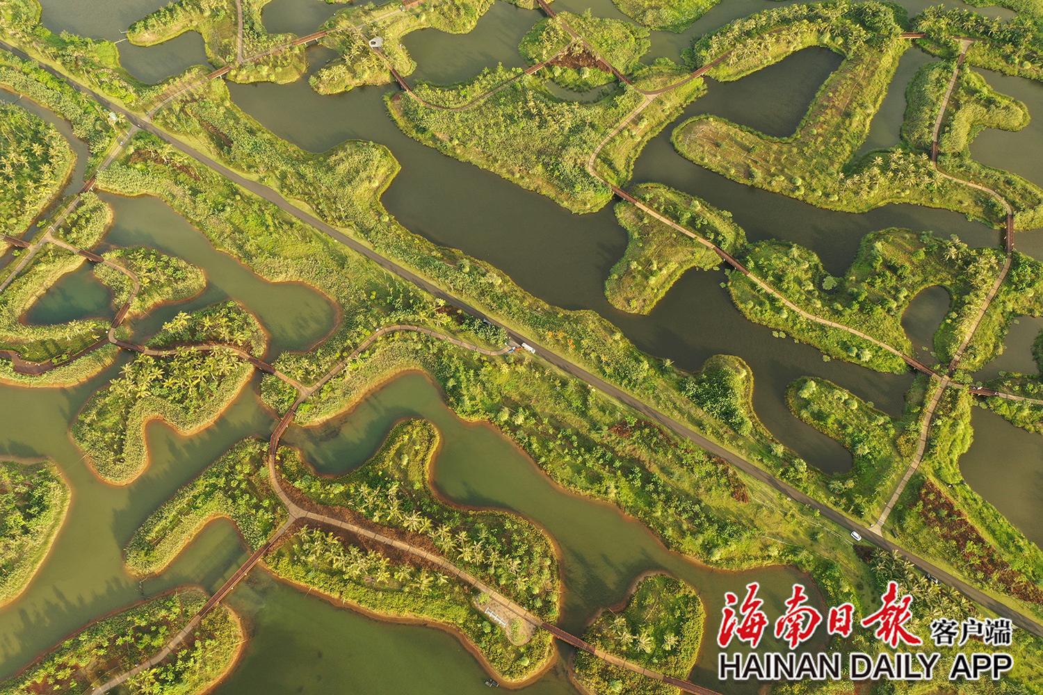 俯瞰海口迈雅河湿地公园景色.