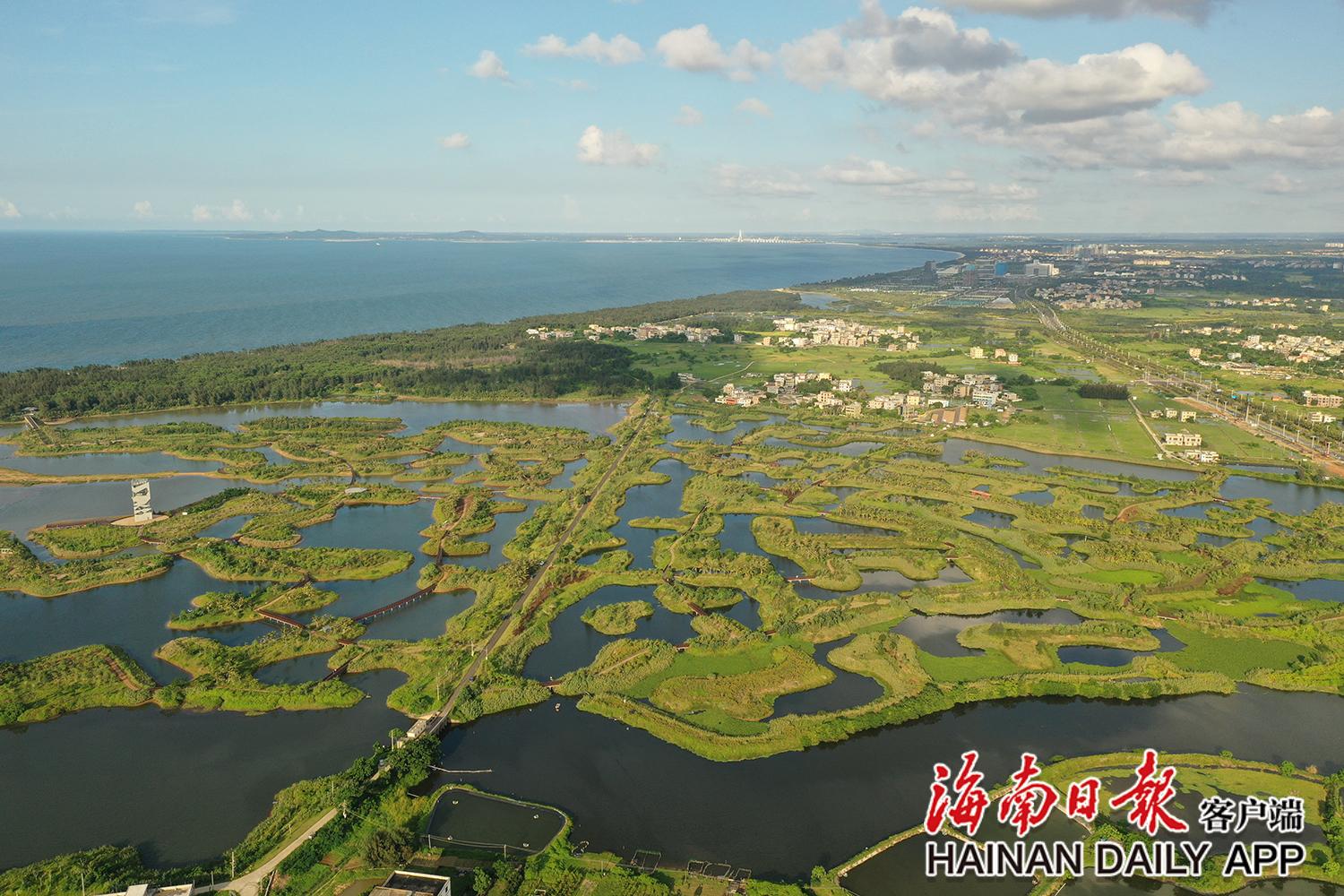 海口迈雅河湿地公园生态修复旧貌换新颜|海口市_新浪财经_新浪网