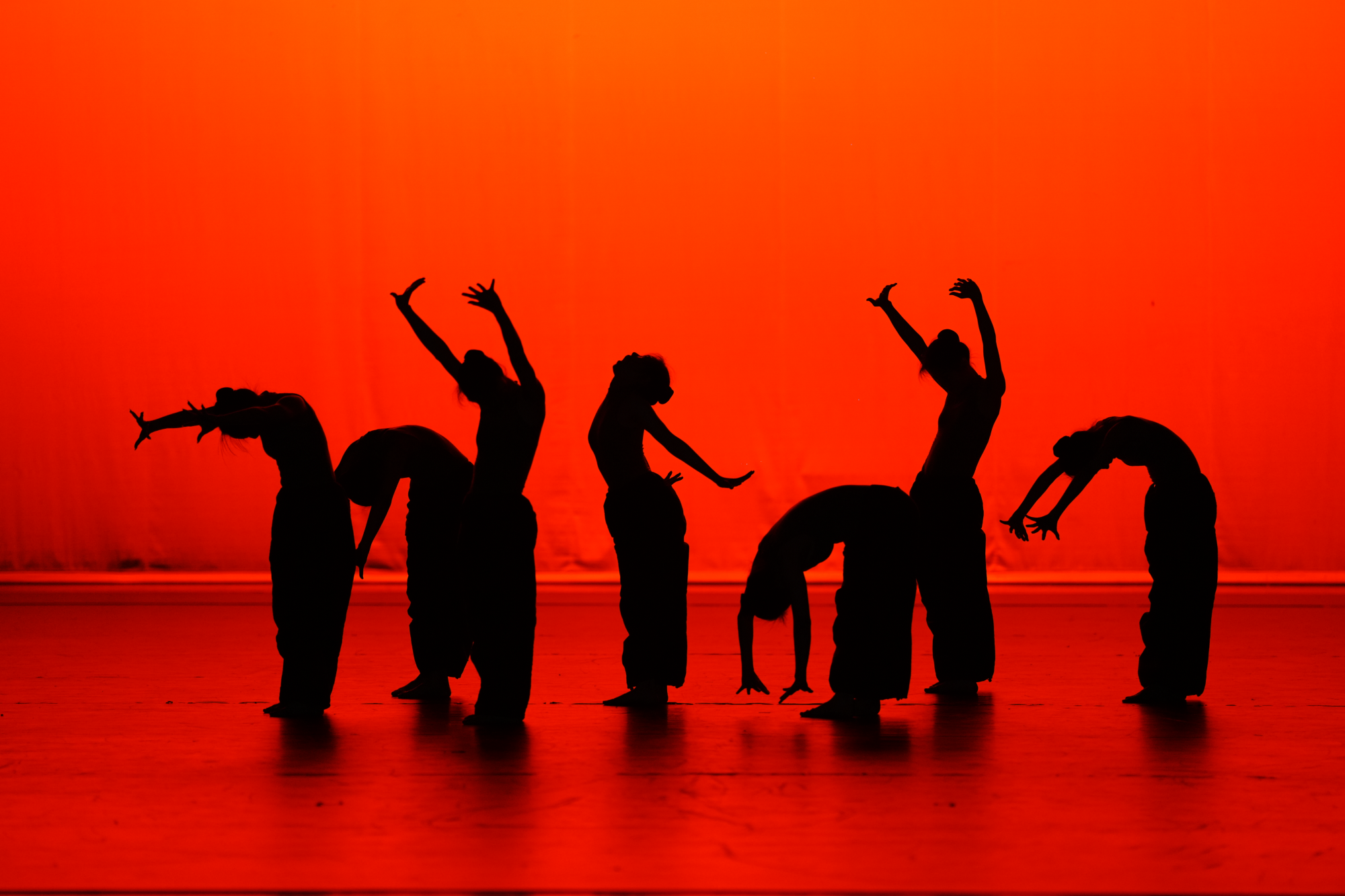 北京大学生舞蹈节开幕 首都青年学子"舞"出精彩|北京市_新浪财经_新浪