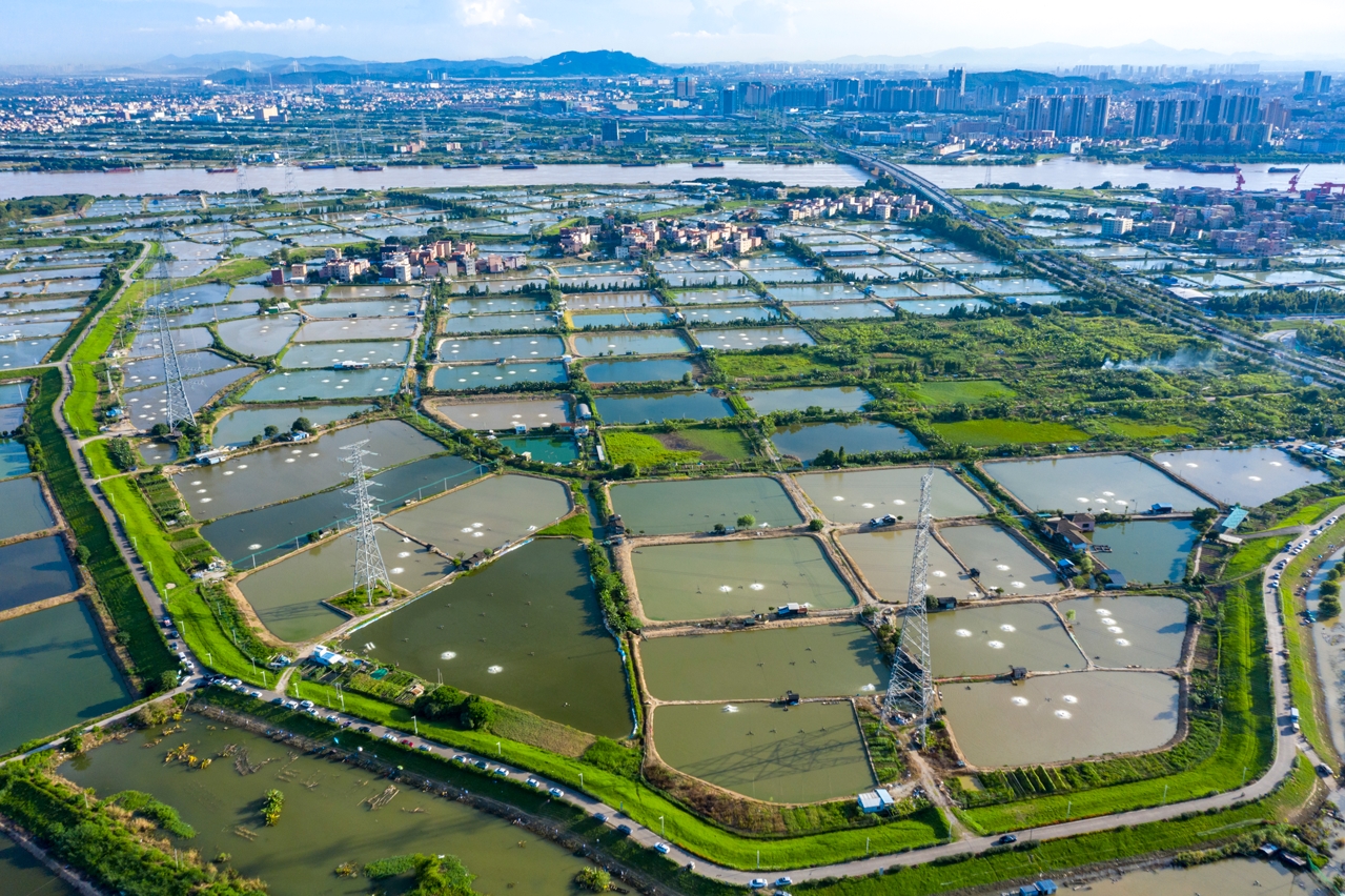 桑园围"围"出岭南好光景丨水润中国·从东风堰出发——对话世界灌溉工