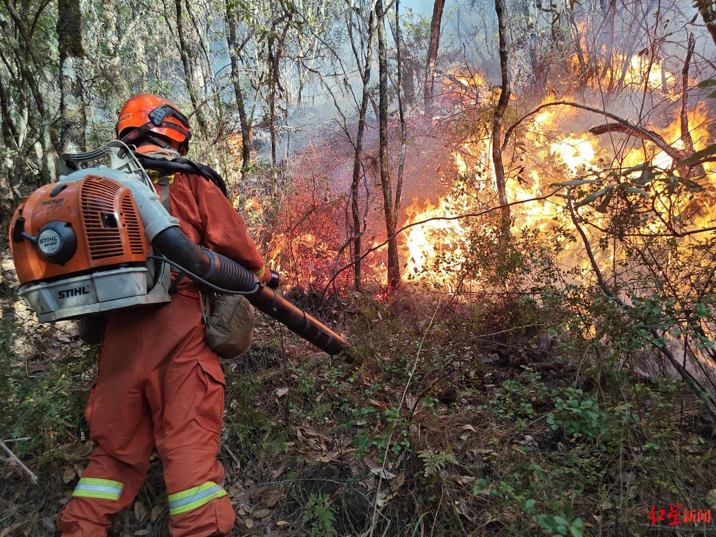 四川省森林消防总队出动422人扑救木里森林火灾受大风天气影响已全部