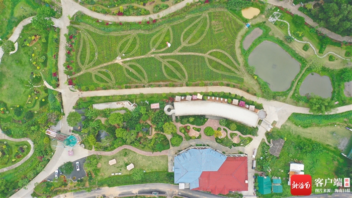 定安香世界·香草田园共享农庄景色.通讯员 张博 摄