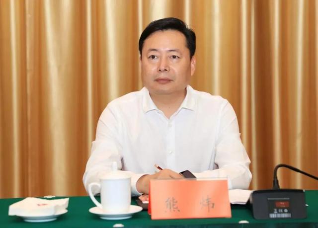 熊炜当选益阳市市长