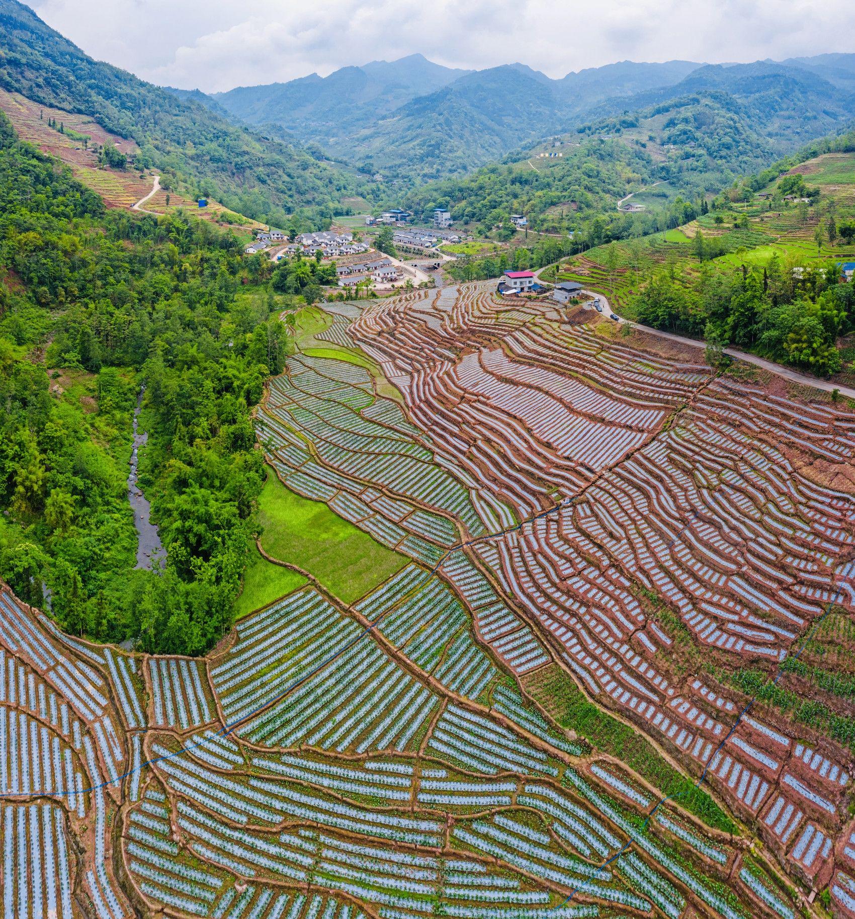 马边县荣丁镇光荣村坡耕地.祝伟 摄