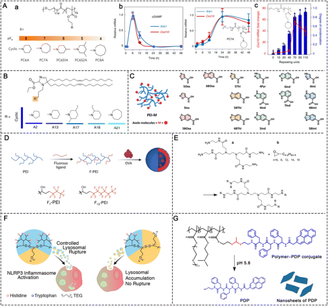 Chem.Soc.Rev. | 癌症疫苗佐剂开发的材料工程策略|肿瘤_新浪财经_新浪网