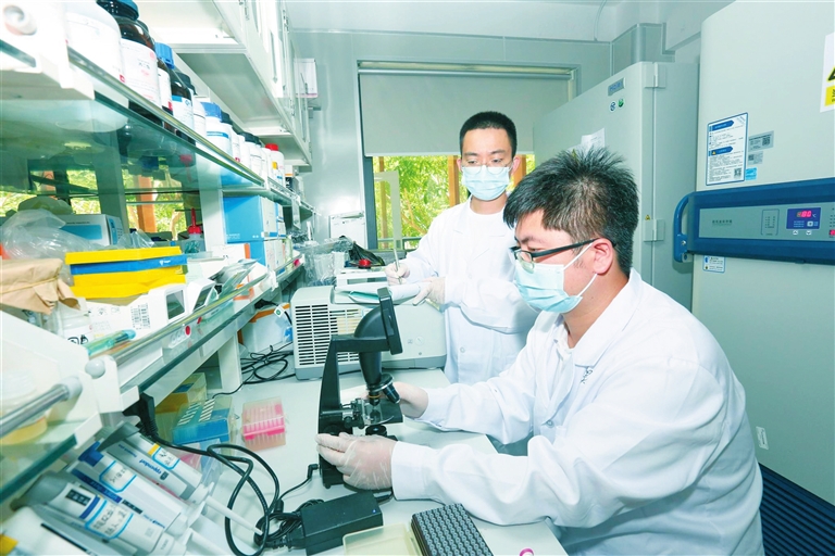 三亚"羊博士团队"的日常:开着被暴晒的皮卡 蹲在羊圈里做研究