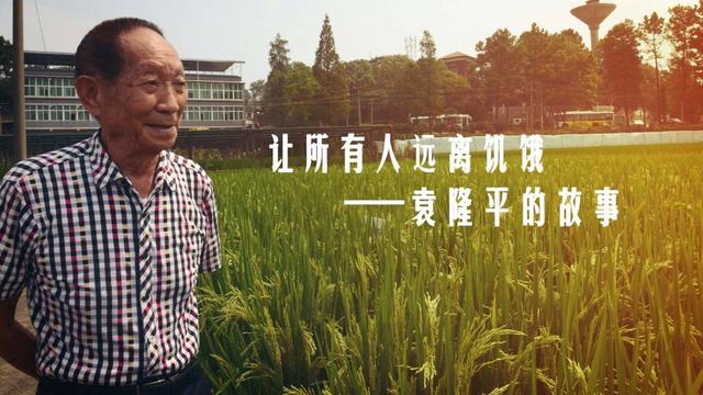 让所有人远离饥饿——袁隆平的故事_新浪财经_新浪网