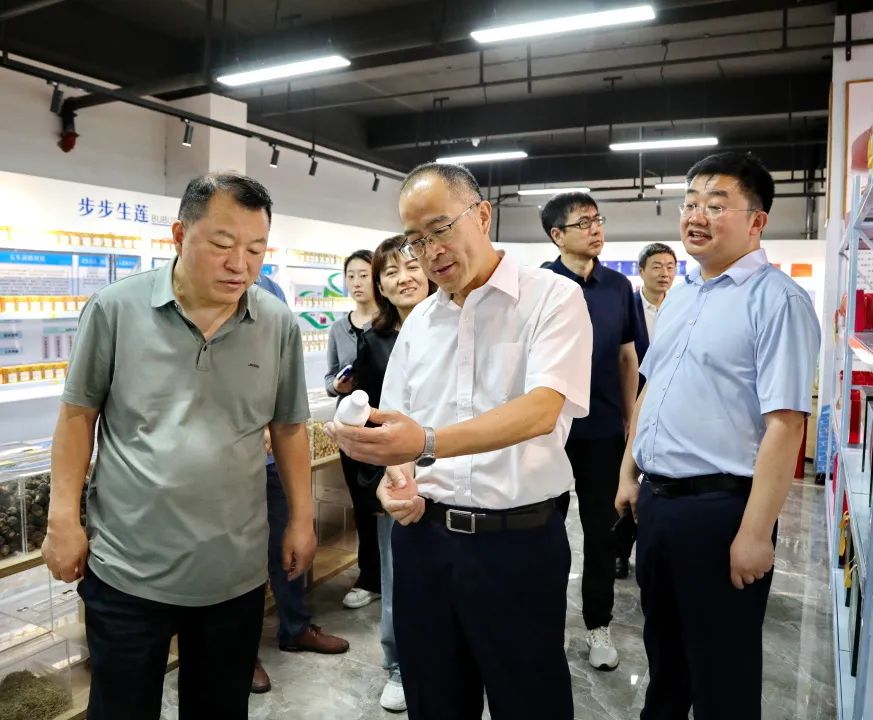 金花股份董事长邢雅江一行赴古井贡酒集团考察交流,洽谈合作|古井贡酒