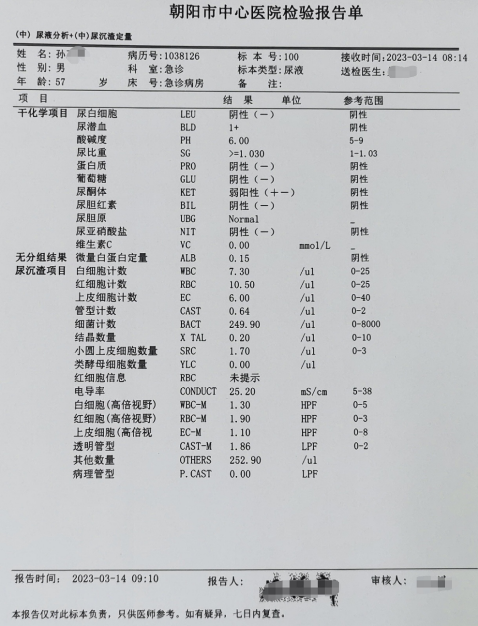 活心丸(浓缩丸)治疗病例之80
