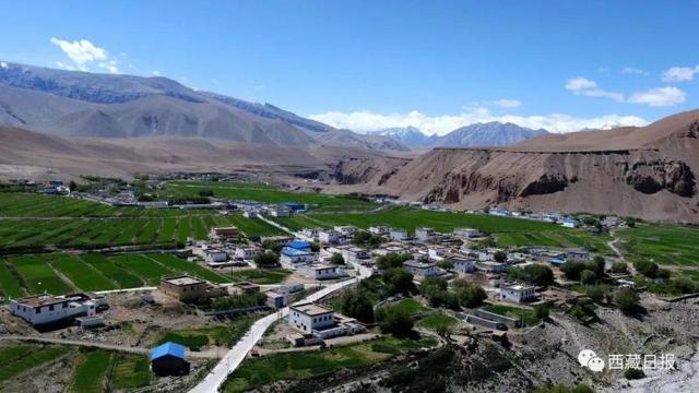 西藏阿里惊现"石头阵",是什么人摆放的?|西藏_新浪财经_新浪网