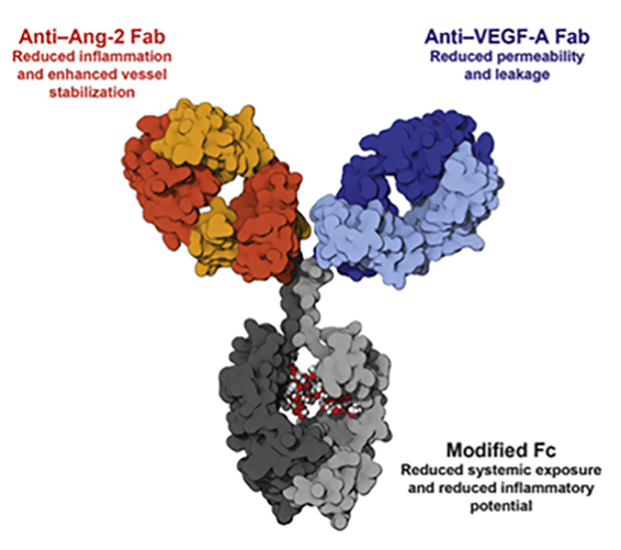 眼科AB电极怎么消毒打开再生元的财富之门，吸引罗氏和信达等纷纷加入布局这一黄金领域_https://www.jmylbn.com_新闻资讯_第12张