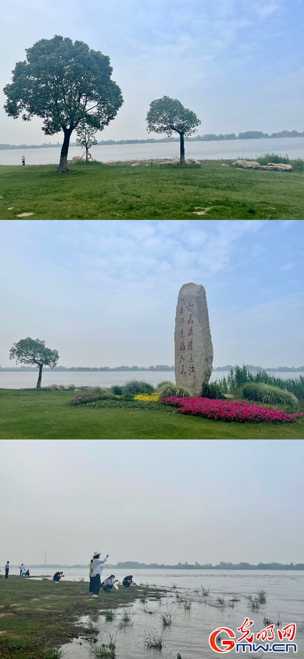 安徽马鞍山薛家洼生态湿地位于长江马鞍山段东岸,在2019年4月集中整治