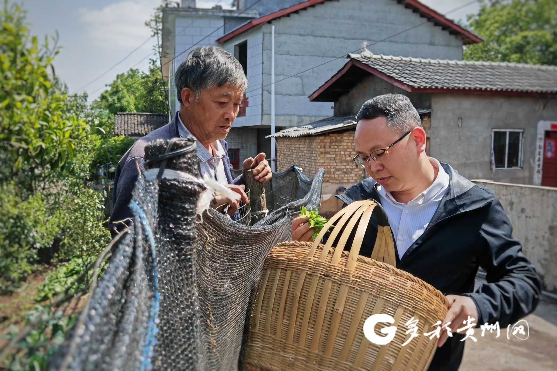 罗盈平(右)了解村民采茶、售卖情况