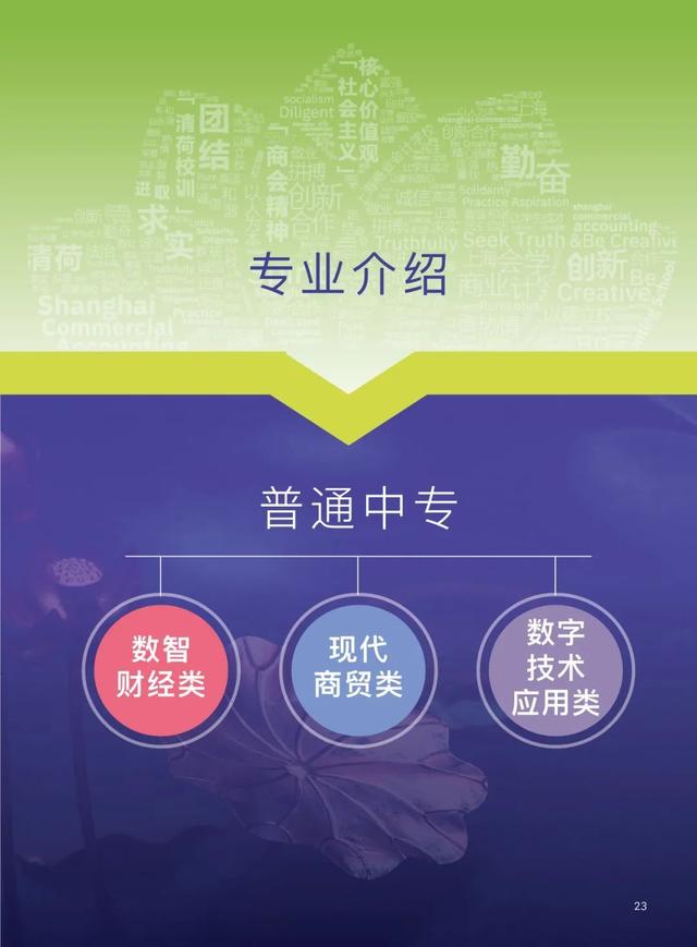 清川商贸城小区物业焕新服务贴心守护家园美好时光