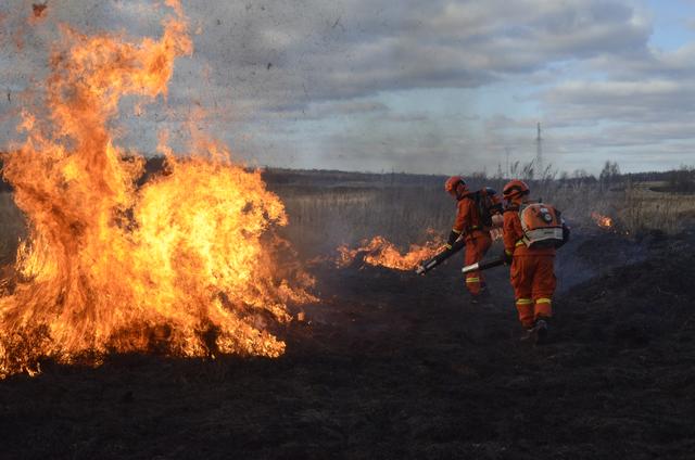 森林消防员在灭火. 图源:哈尔滨森林消防支队沾河大队三中队