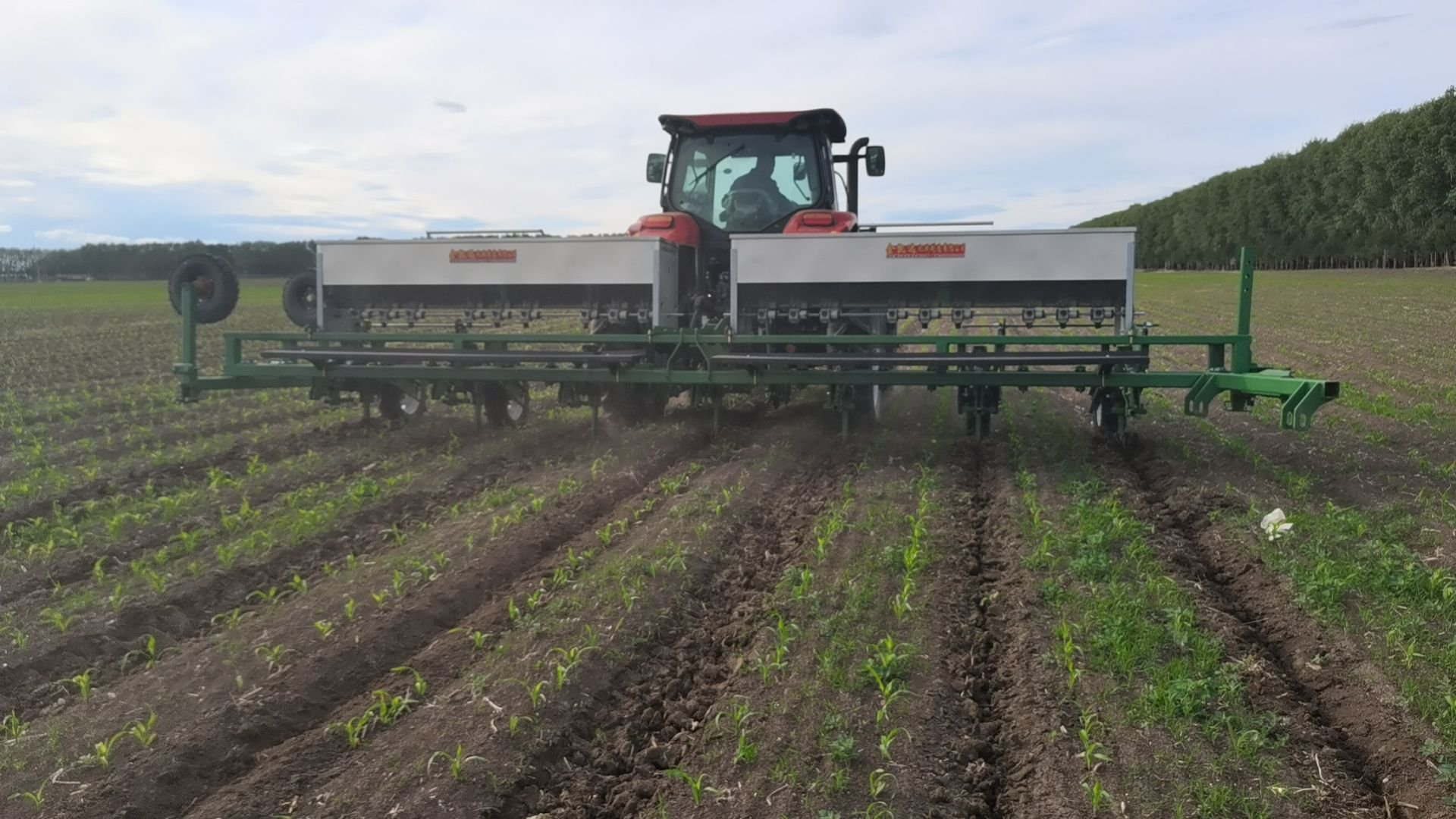 依安县治家村中耕机在进行第一次中耕