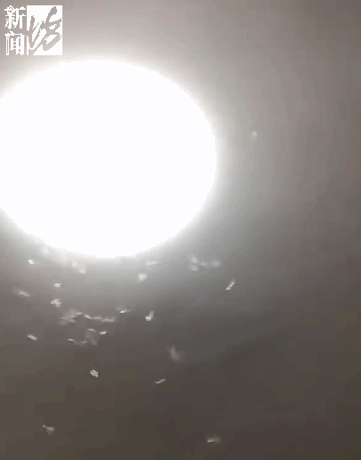 图片来源：看看新闻Knews