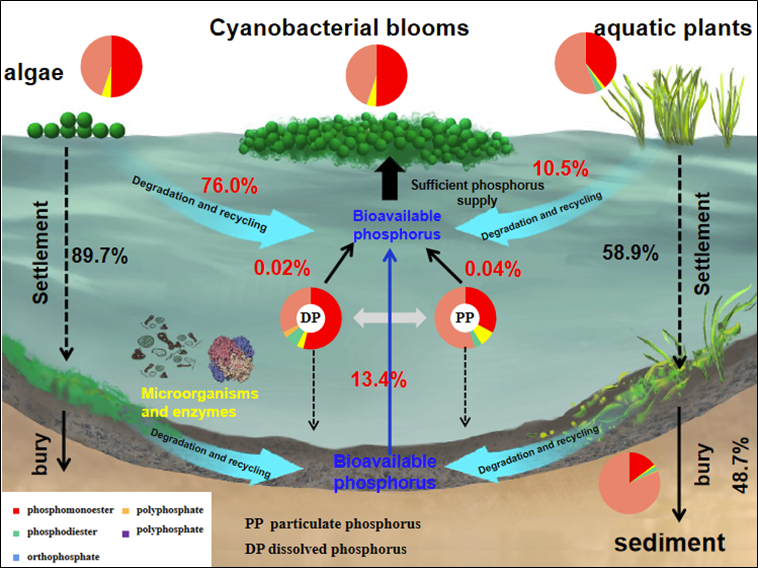 apmserv5.2.6数据库